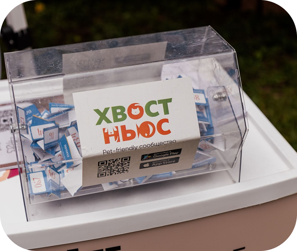 Бокс Хвост Ньюс на фестивале